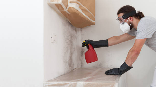 Professional Mold Remediation technician working in Harrisburg, OR
