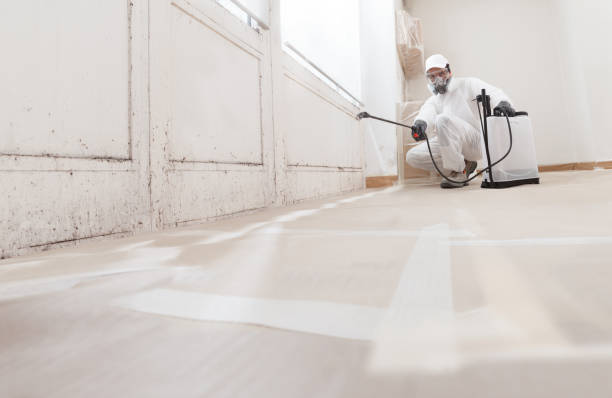 24/7 Emergency Mold Remediation experts in Harrisburg, OR
