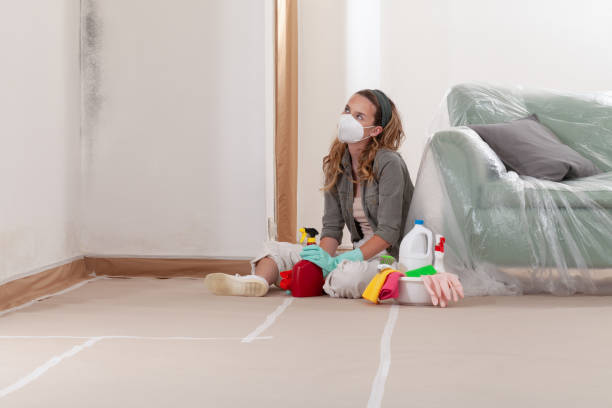 Reliable Mold Remediation contractor in Harrisburg, OR by WQB Mold Removal